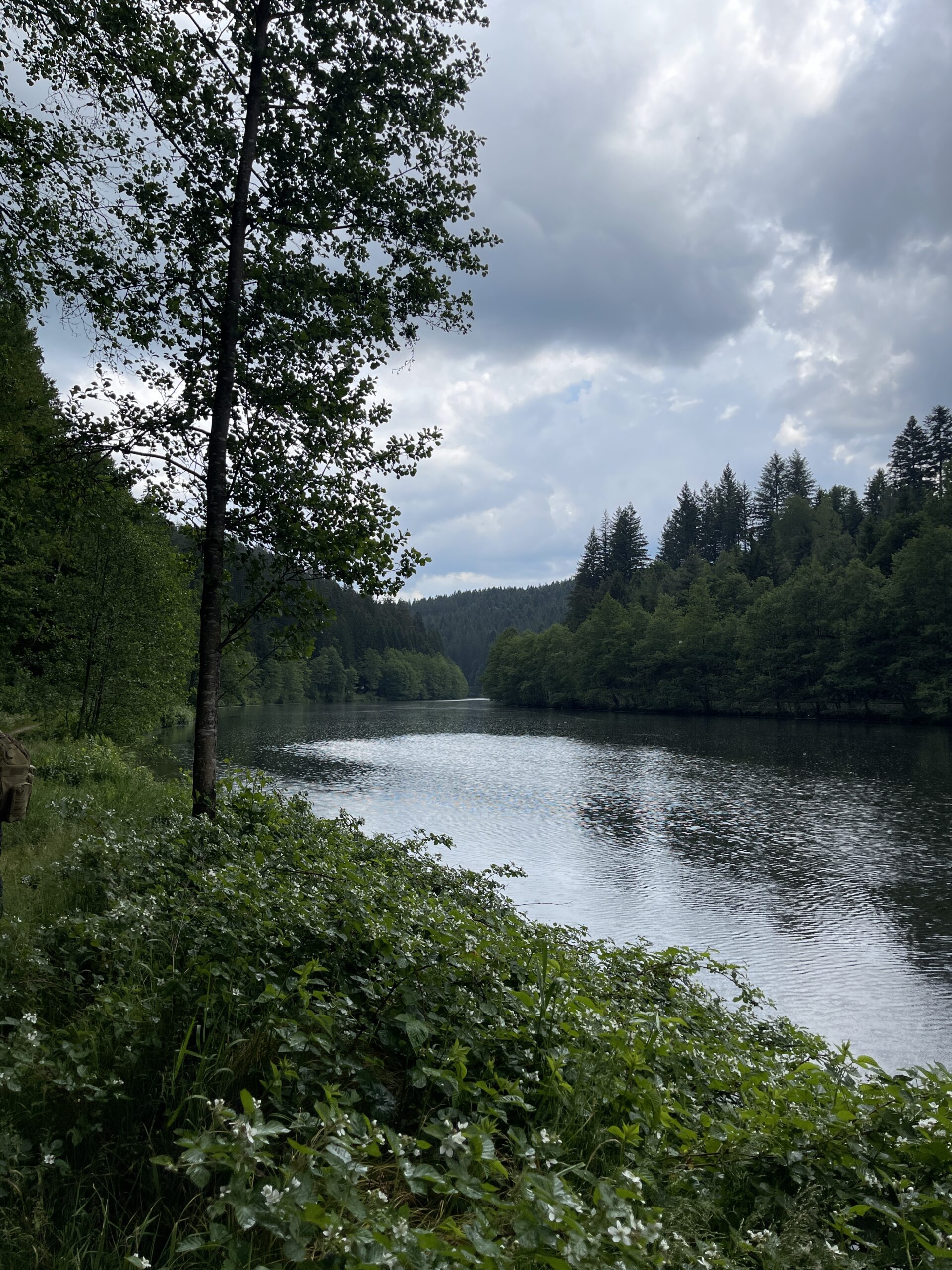 The river Regen in the Bavarian Forest, where Adventurecamp Schnitzmühle is located