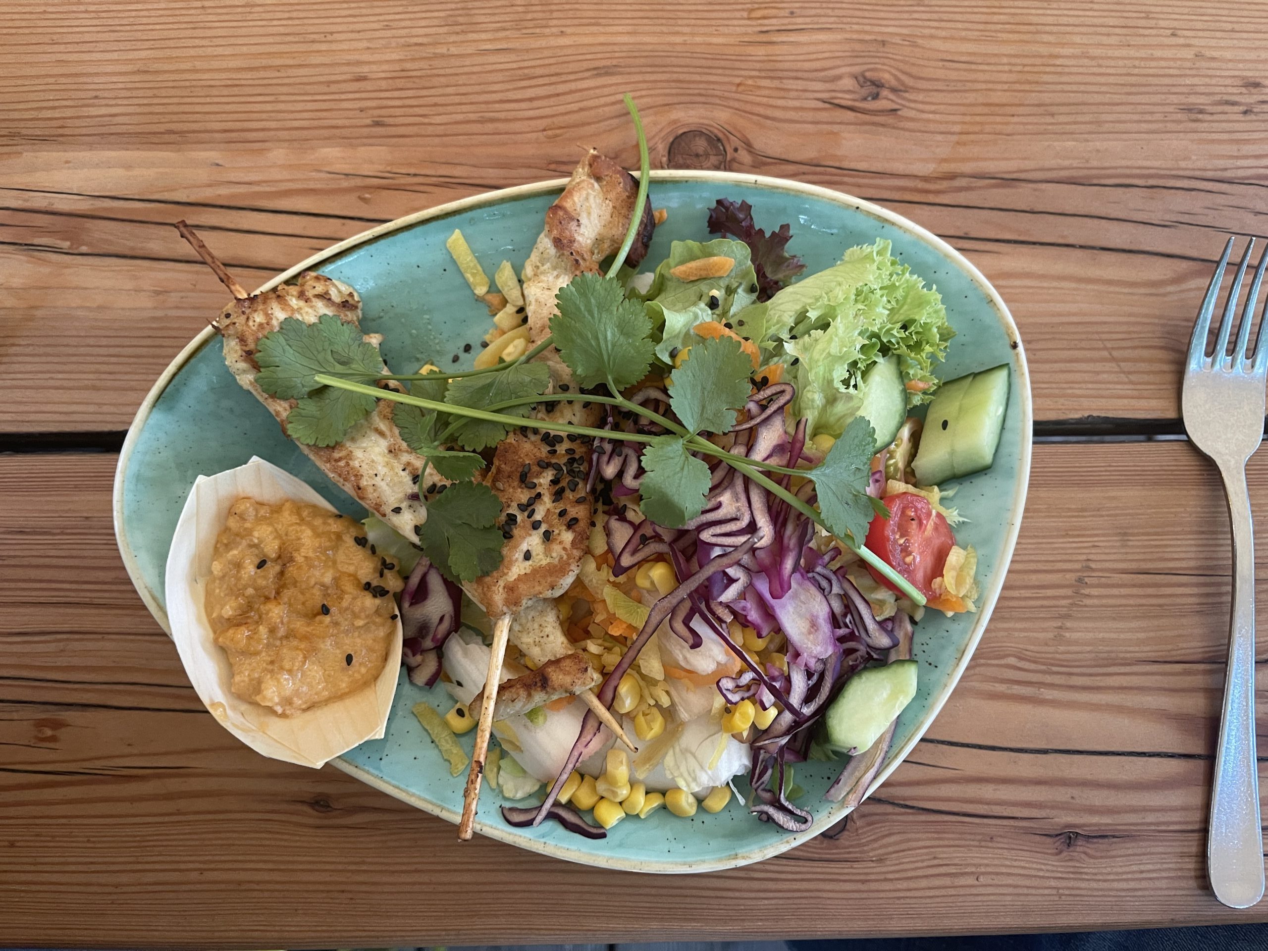 Satay Skewers with Thai Salad