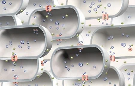 less Aquaporins in the skin