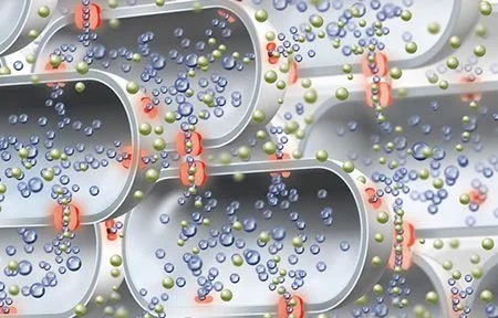 more Aquaporins in the skin