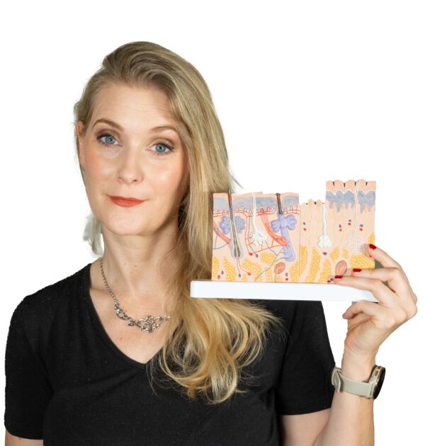 A blonde woman holding a skin model