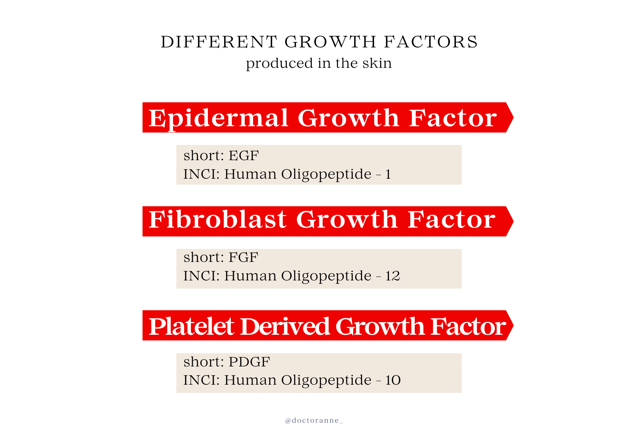 A graphic showing different types of Growth Factors in the skin